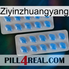 Ziyinzhuangyang 23